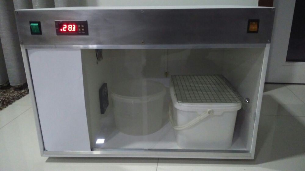 Maternidade para Aves