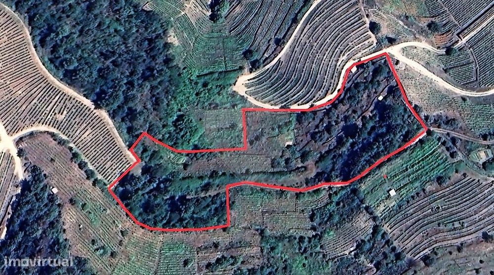 Terreno  para venda — Vale De Mendiz, Casal De Loivos E Vilarinho De Cotas, Vila Real