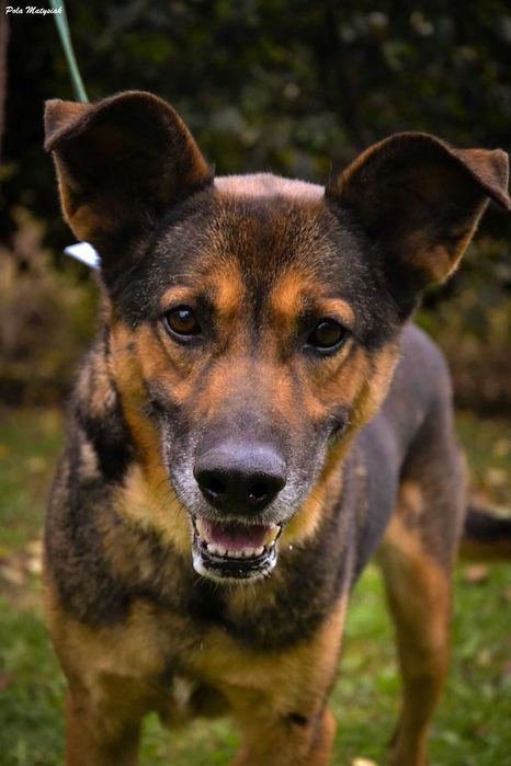 Szukamy spokojnego domku dla Nano ! !