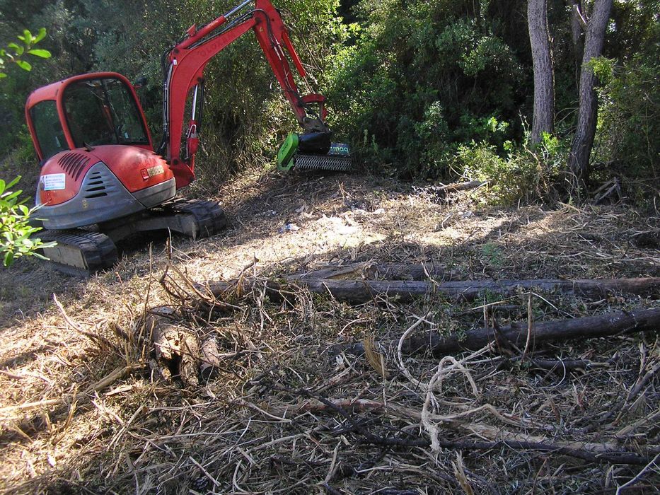 serviços de mini giratoria (destroçador)