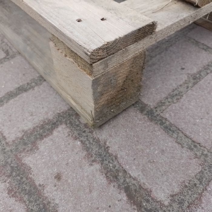 Palety 80×120 1 gatunek możliwość transportu