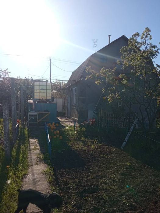 Продам дачу на Тилигульском лимане