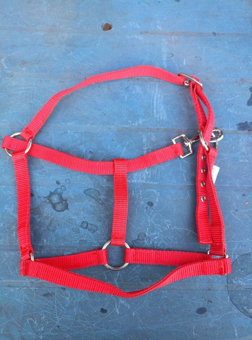 Kantary kilka sztuk! Pony/ shetty