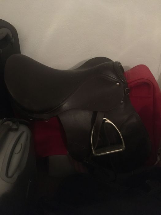 Sela/ arreio de equitação