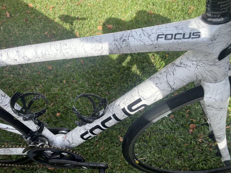 Focus cayo (tamanho S)