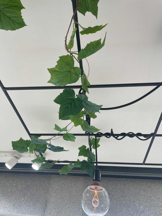 Estrutura decorativa c/lampadas