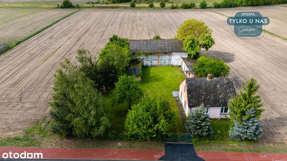 Dom wśród drzew i śpiewu ptaków