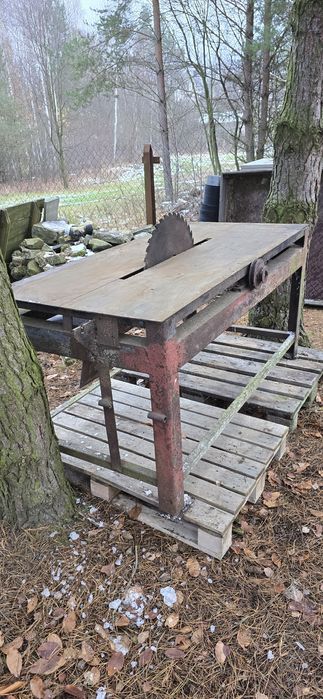 Krajzega duża pila stołowa