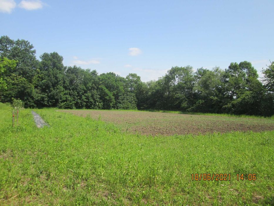 Продам будинок с. Косиківці