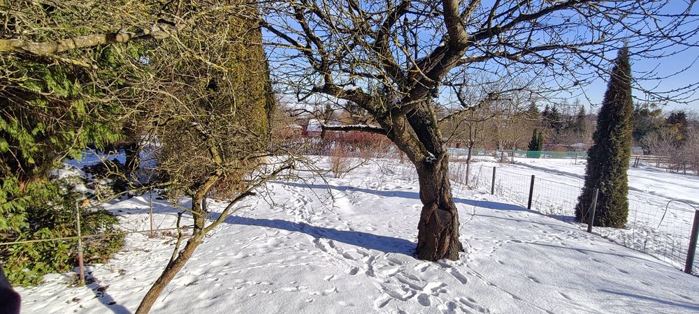 Działka rod im Sikorskiego w Nowem