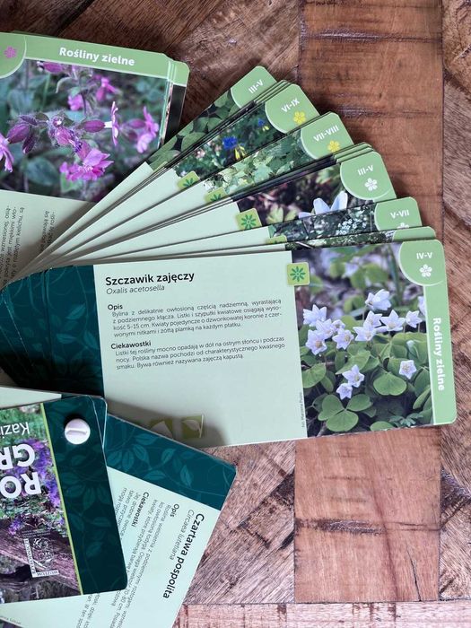 Rośliny grądów Kazimierskiego Parku Krajobrazowego przewodnik`