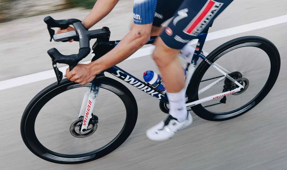 Quadro bicicleta de estrada S-Works Tarmac SL8 Soudal Quick-Step 56