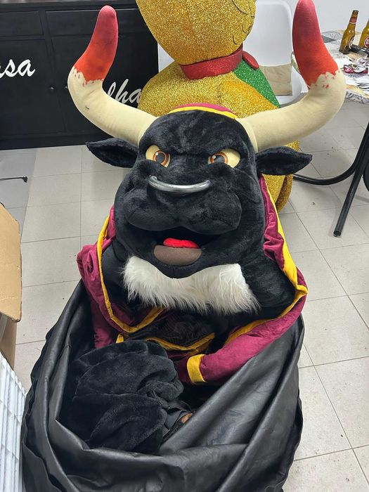 Mascote Exclusiva do Carnaval de Estarreja