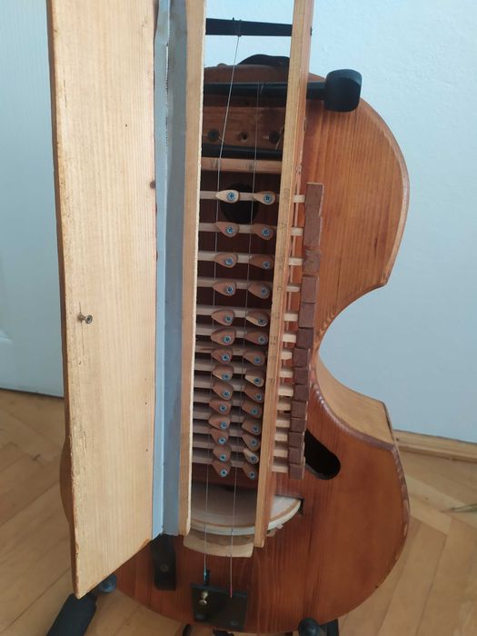 Lira korbowa diatoniczna