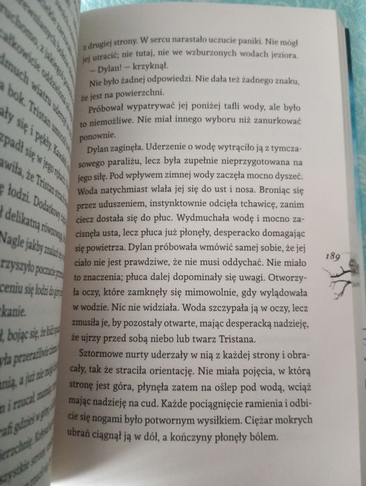 Przewoźnik książka młodzieżowal