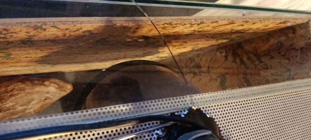 Sprzedam terrarium