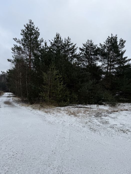 Sprzedam działkę Rydzynki/Tuszyn/Zofiowka