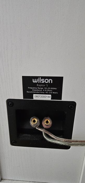 Denon Ceol N 10 + kolumny Wilson Raptor 5