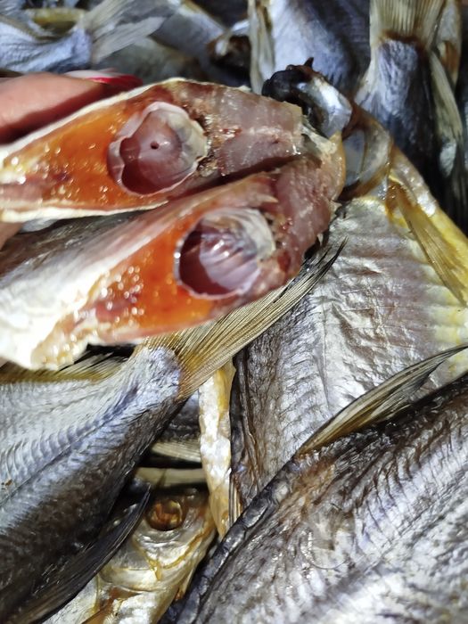 Джерки,густера,тарань,ікра,язик копчений