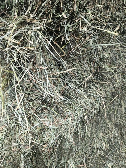 Siano suszone na słońcu 2,5 kg