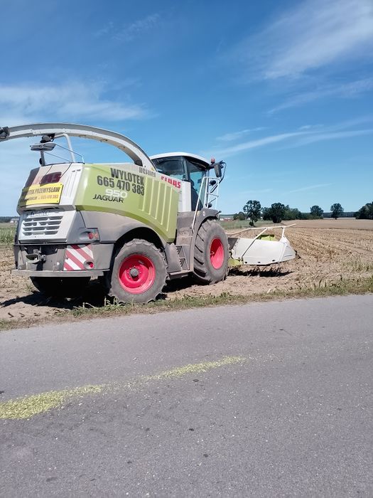 Koszenie kukurydzy usługi rolnicze