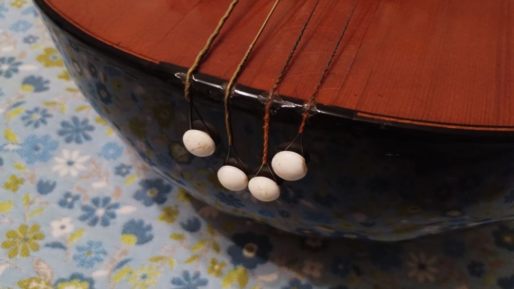 Майстрова домра прима