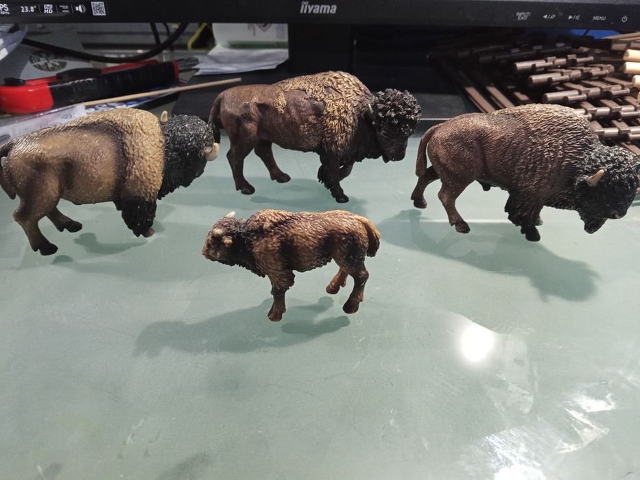Żubr bizon żubry bizony schleich rodzina