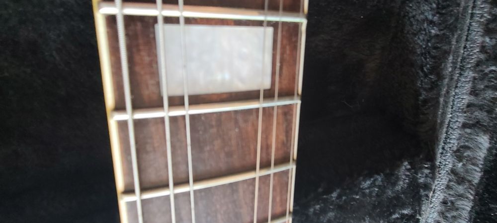 Burny RLC 100 Japan (Custom)