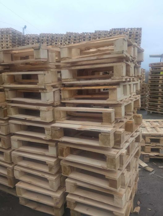 800х600 купую піддони постійно та максимально дорого