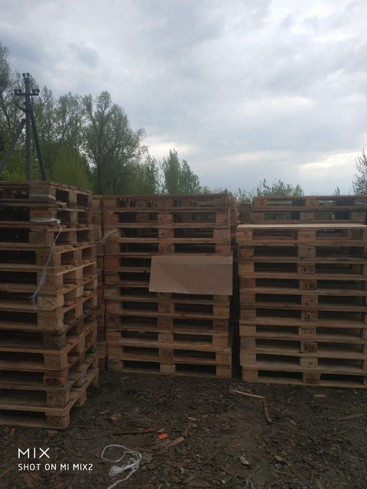 ПАЛЕТИ ТА ПІДДОНИ — ПРОДАЖ І ВИВІЗ в Канів