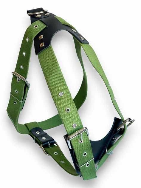 Шлейка для собаки Canem брезентова