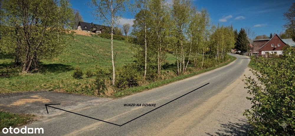 "SUDECKIE BIESZCZADY" Piękna działka w górach! Masyw Śnieżnika JODŁÓW - Widok 2