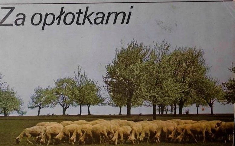 Za Opłotkami Praca Zbiorowa
