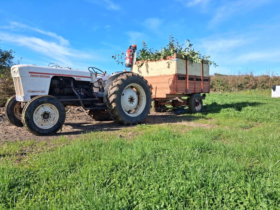 Serviços Agrícolas