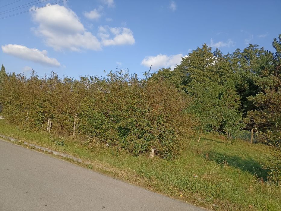 Sprzedam działkę budowlaną z zabudową – Lubsza, ul. Spacerowa 15