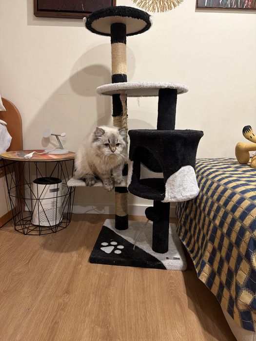 Torre para Gatos Multi-Nível – Confortável e Resistente