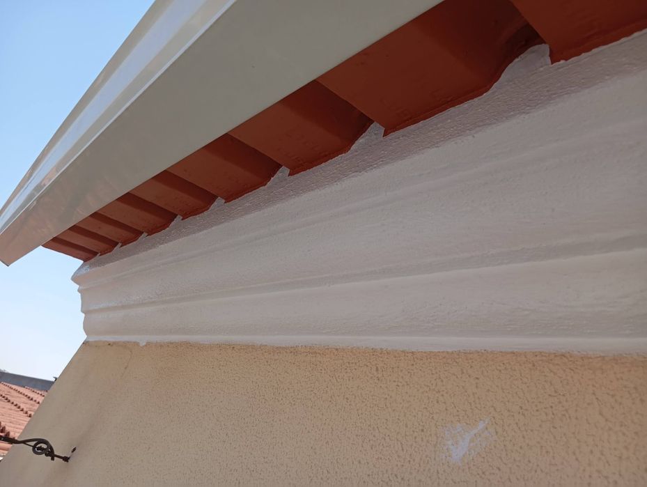 PINTOR PROFISSIONAL (pintura interna e externa). Qualidade garantida!