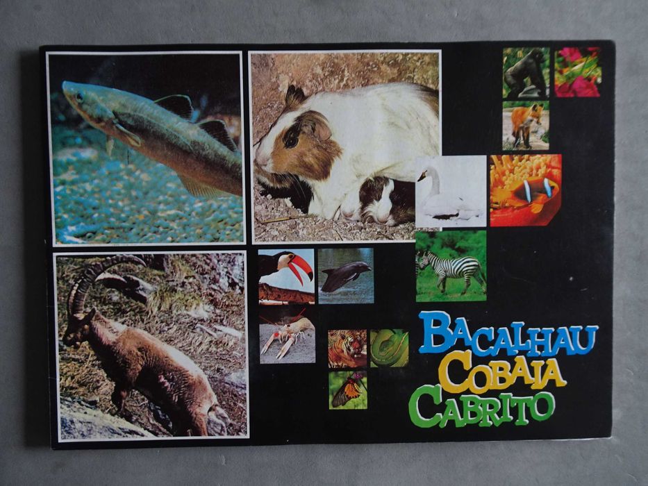 Caderneta de cromos Bacalhau Cobaia Cabrito (faltam 26 cromos)