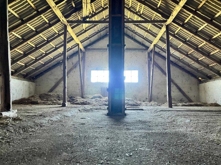 Dzierżawa stajni, wynajem, hodowla koni