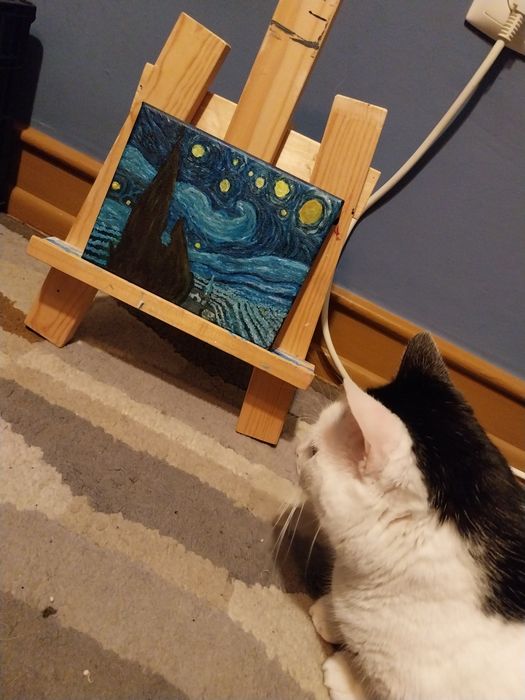 A minha noite estrelada