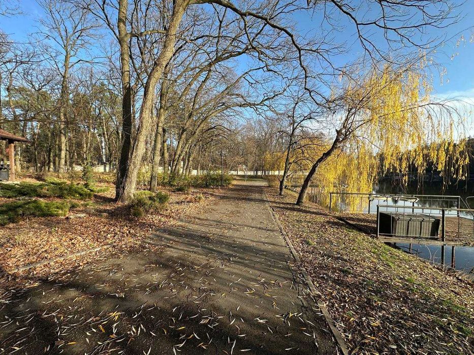 Здам шикарний будинок в Орловщині.