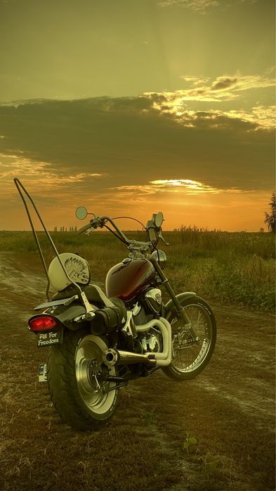 Honda Shadow vt 600 Steed 600 Chopper