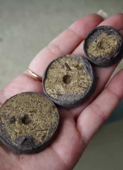 Добриво торф'яні таблетки для розсади