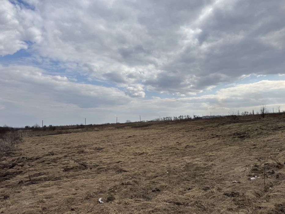 Ранчо. Продаж земельноі ділянки 25 соток.