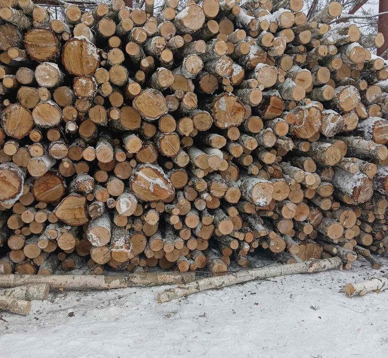 Дрова березові,соснові,дубові , цілі, колоті