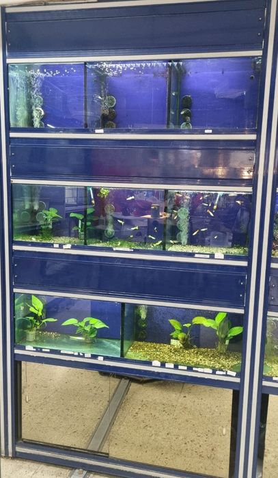 Aquários para loja