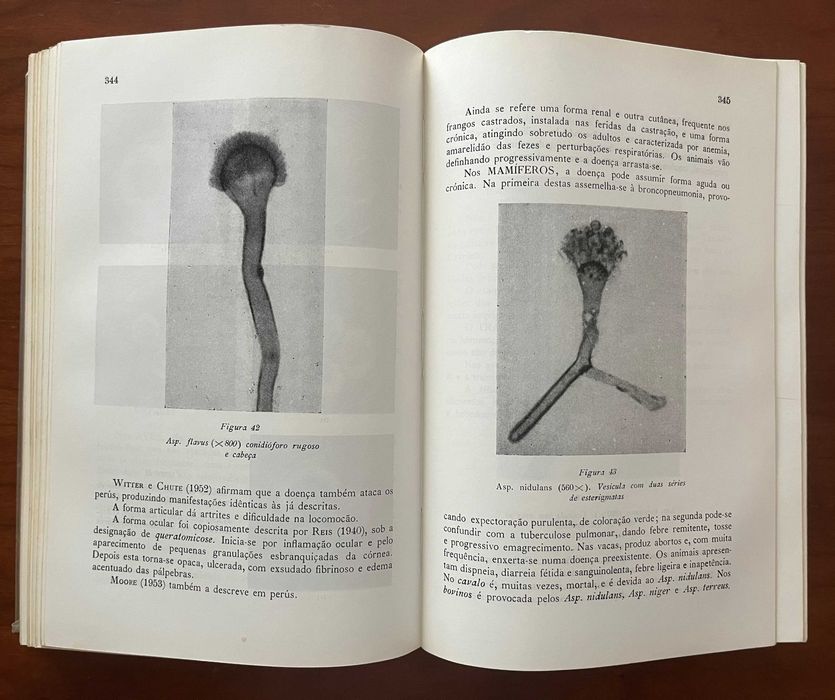 Livro "Doenças Infecto-Contagiosas dos Animais Domésticos"