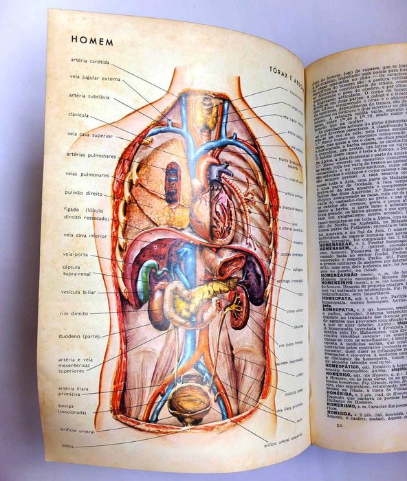 Dicionário Prático Ilustrado Lello de Jaime de Séguier