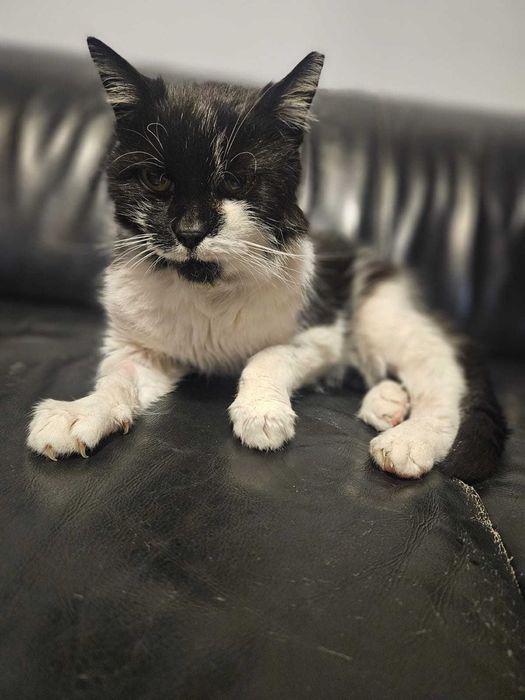 Cichutki aniołek skazany na śmierć — LUSIA