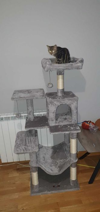 Drapak dla kota Wysoki duży drapak dla kota domek legowisko 143cm NOWY